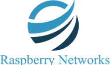 raspberynetworks.com